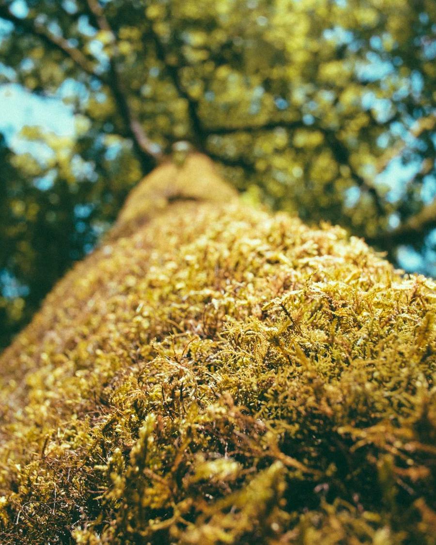 Portrait of Emer Lynch